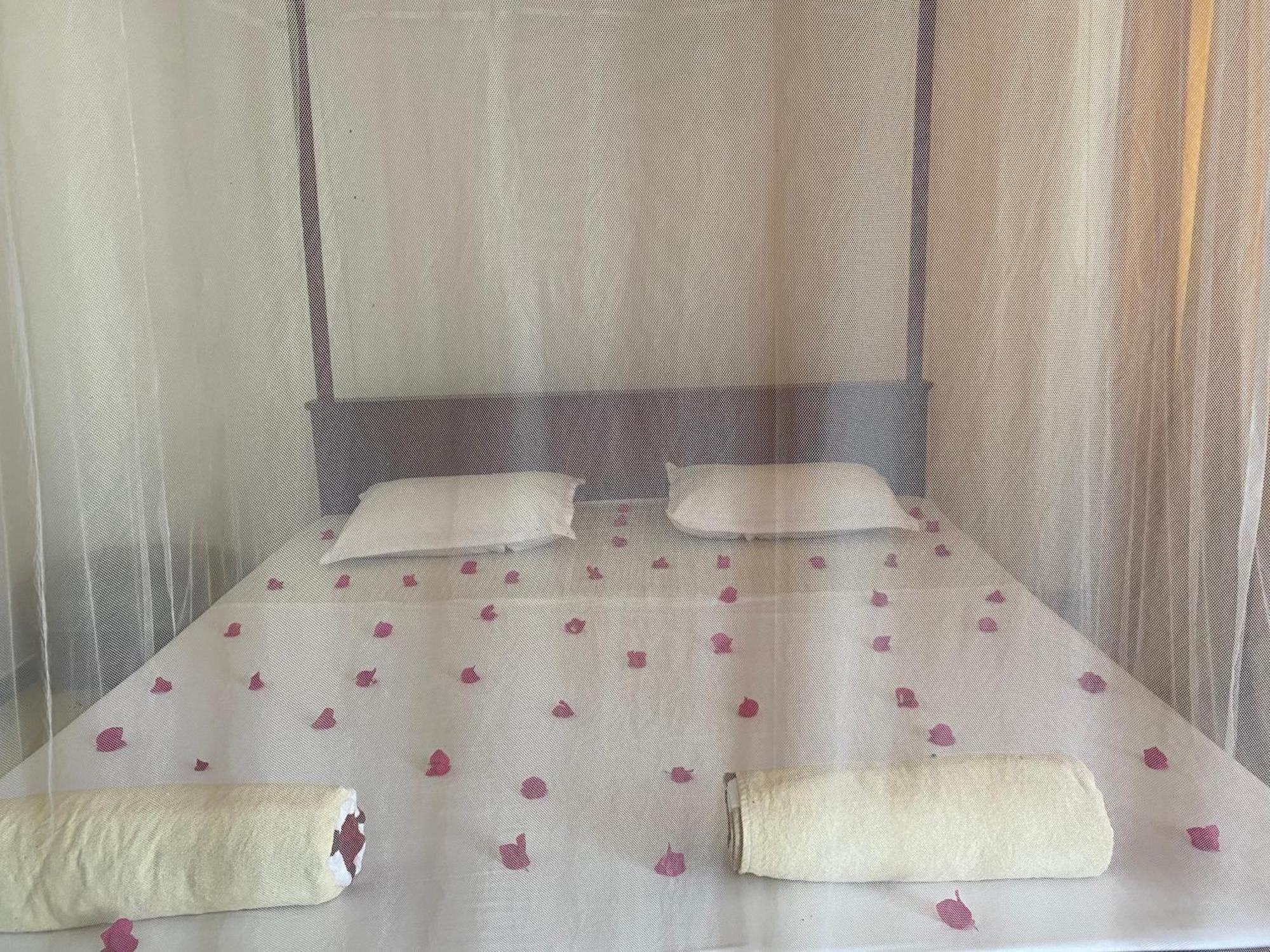 Talalla Ocean Beach Bungalow ماتارا المظهر الخارجي الصورة