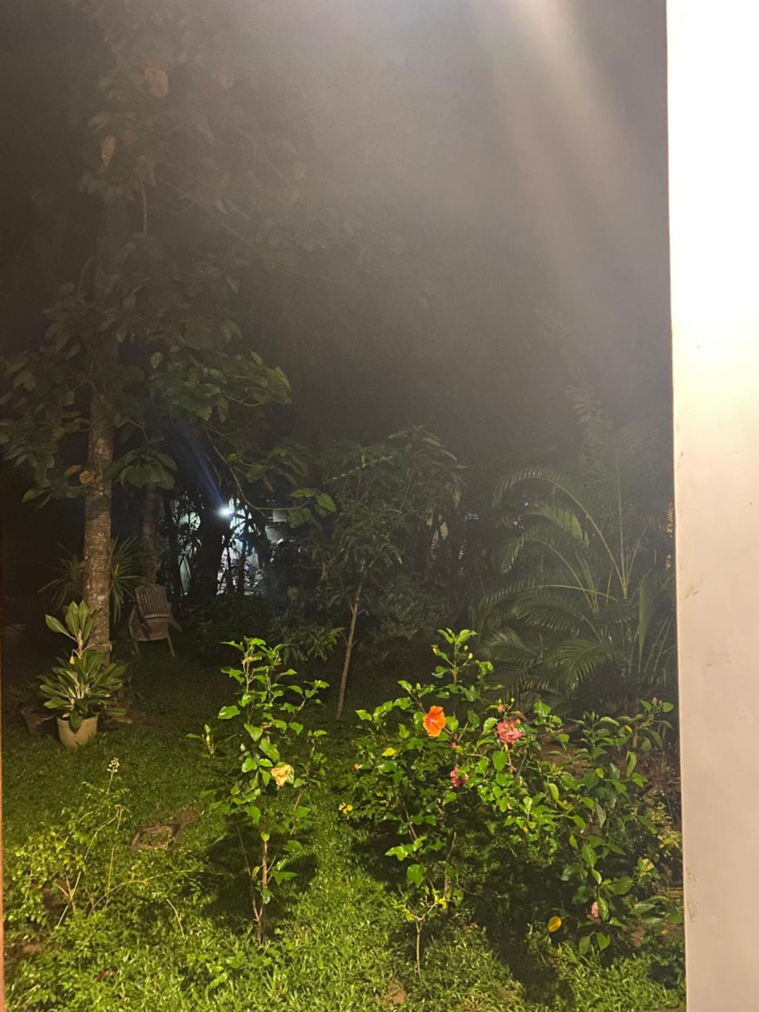 Talalla Ocean Beach Bungalow ماتارا المظهر الخارجي الصورة